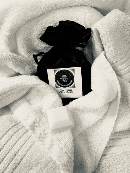 Sigmund Wax Melt